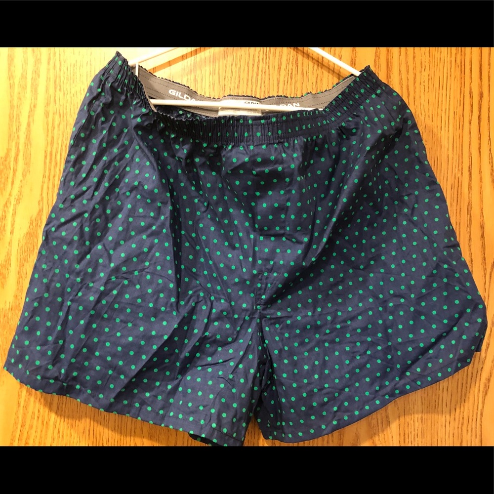 🔴 5/$25 NWOT Gildan Shorts Never worn XL 40-42